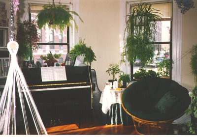 Living Room 2
