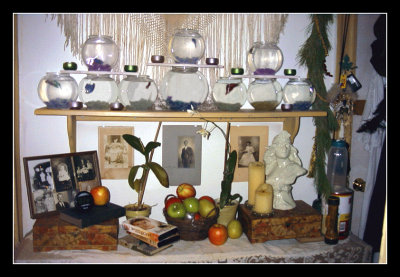 12-00 - Hall - Wall of Living Art