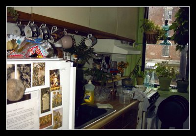 12-00 - Kitchen - Left Side