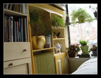 11-02 - Bedroom - wall unit under bird cage, over radiator; unfinished bookcase