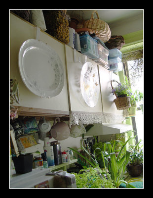03-03 - Kitchen