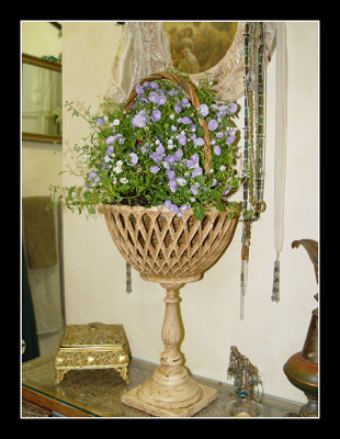 03-03 - Bathroom - Campanula
