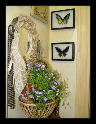 03-03 - Bathroom - Campanula & Ornithoptera