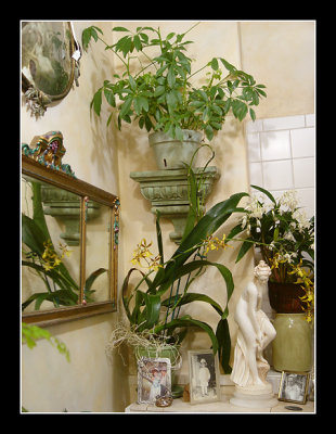 03-03 - Bathroom - Orchids
