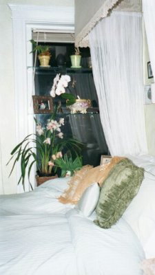 01-02 - bedroom - bed - canopy