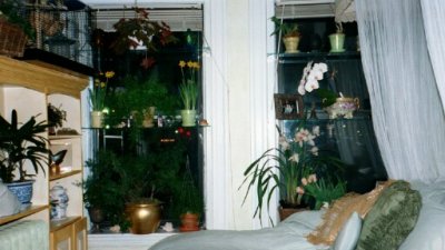 01-02 - bedroom - both windows