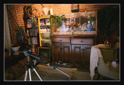 Studio - Far Wall (into Livingroom)