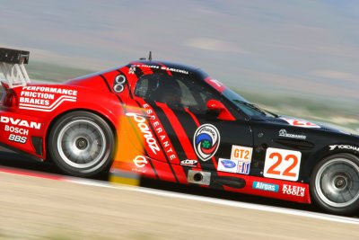 PTG Panoz in Knock out