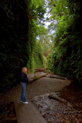 Lindsey checking out the Fern Canyon