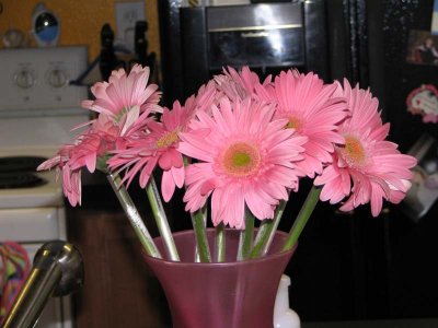 IMG_1279.jpg