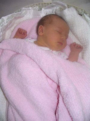 IMG_1320.jpg