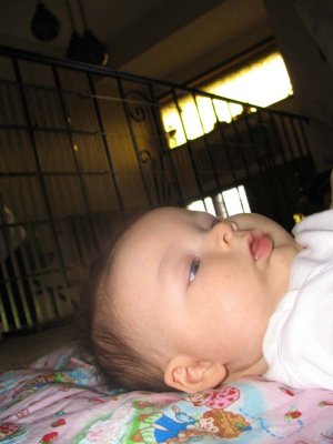 IMG_1327.jpg