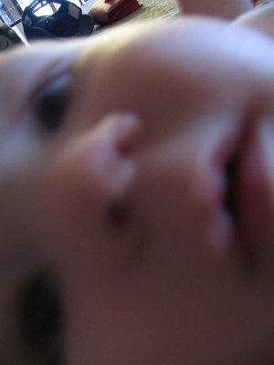 IMG_1329.jpg