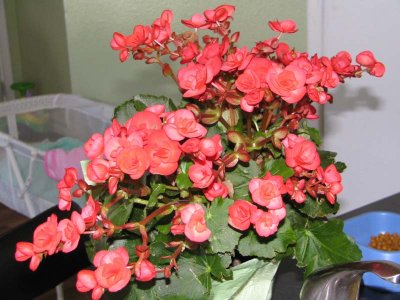 IMG_1358.jpg