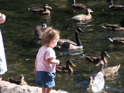 Keeley Feeds Ducks