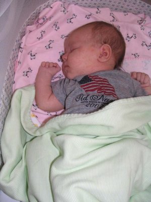 IMG_1393.jpg