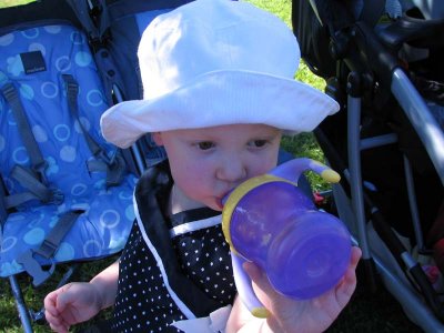 IMG_1407.jpg