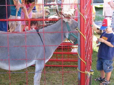 IMG_1421.jpg