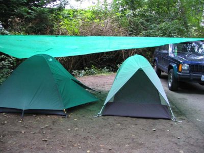 IMG_2318.jpg