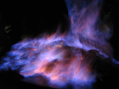IMG_2377.jpg