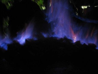 IMG_2378.jpg