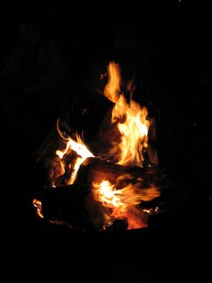IMG_2383.jpg