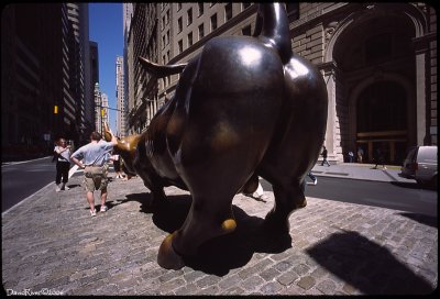 The Bull Butt.jpg