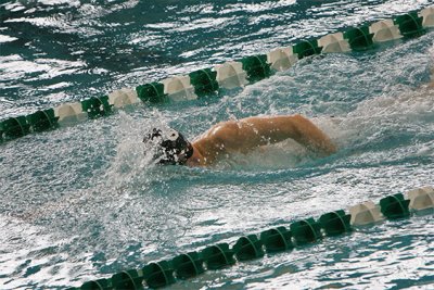 IMG_0145.jpg