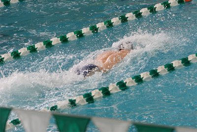 IMG_0146.jpg