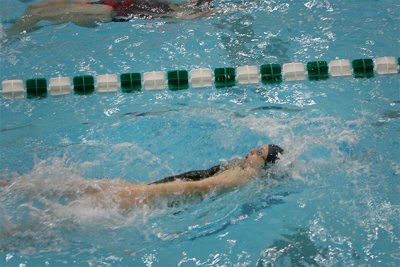 IMG_0175.jpg