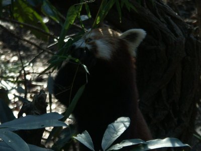 PICT8816.JPG