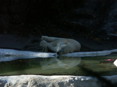 PICT8790.JPG