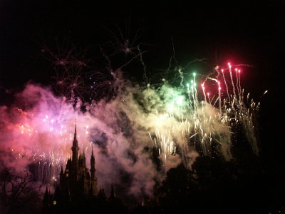 PICT9031.JPG