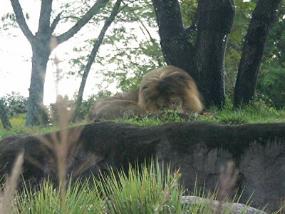 PICT9071.JPG