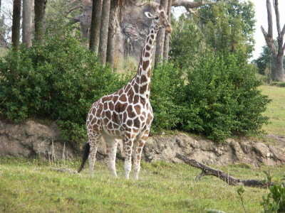 PICT9077.JPG