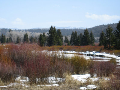 near Moran, WY