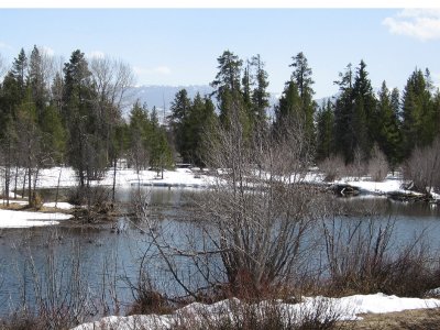 Beaver Pond near Moose, WY