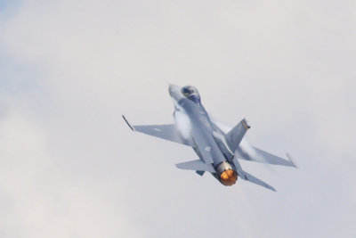 F-16 Fighting Falcon