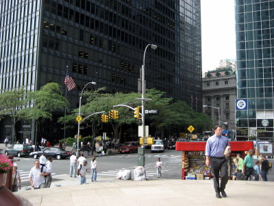 81.jpg