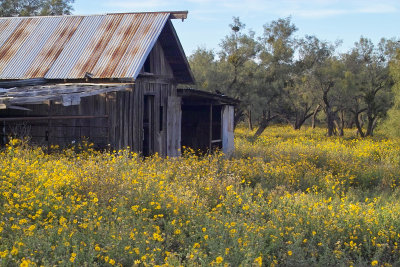 barnFlowers.jpg