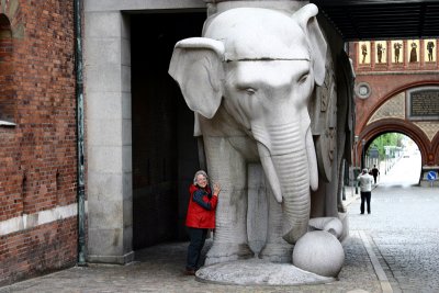 Ann with Her Elephant