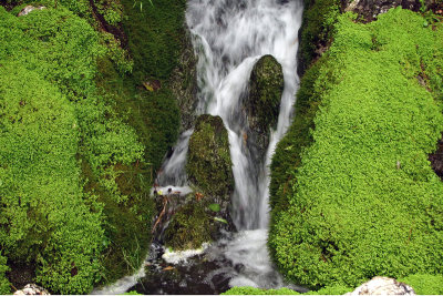 Waterfall Through Moss