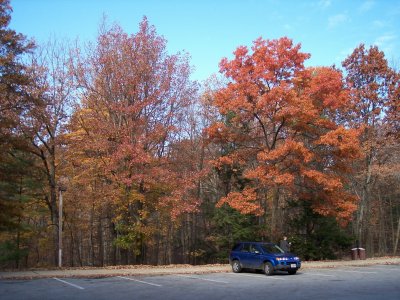 A parking lot view