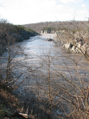 Downstream Mather Gorge