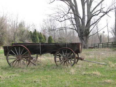 The wagon