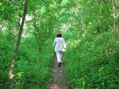 Heading up the Appalachian trail