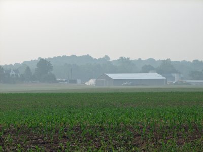Farm building across the corn field