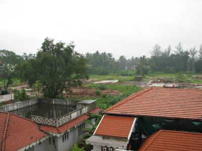 Monsoon greenery beyond homes