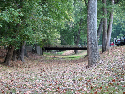 Bridge at Dargan Bend