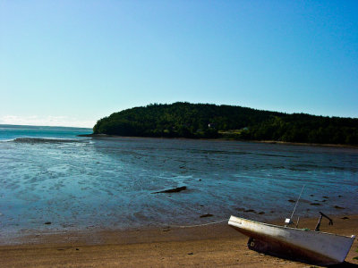 DSC03504.jpg